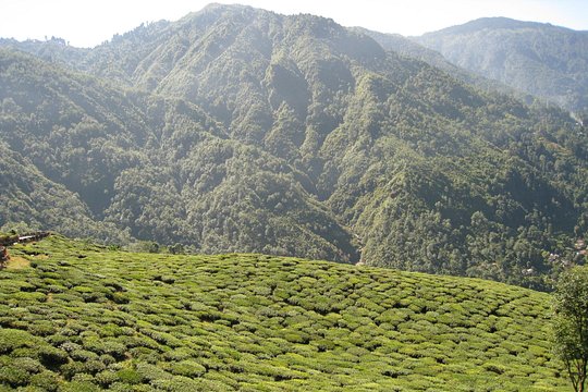 Tour image 9