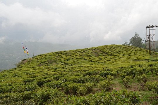 Tour image 6
