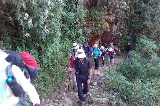 Tour image 4
